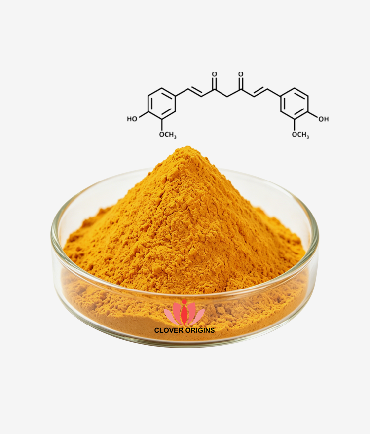 Curcumin 99% Powder