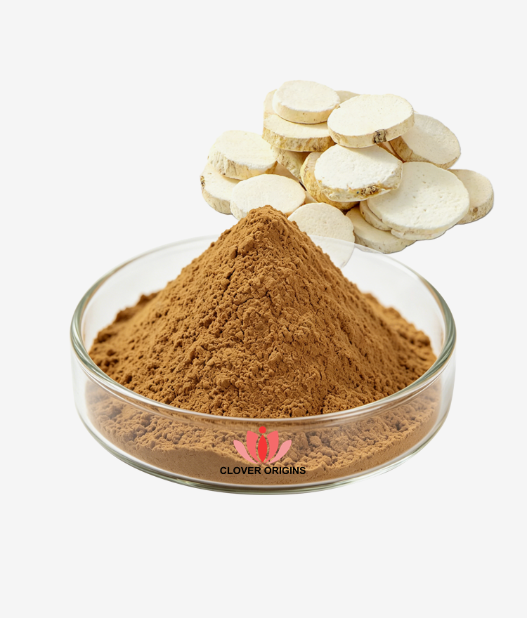 Dahurian Angelica Root Extract Powder
