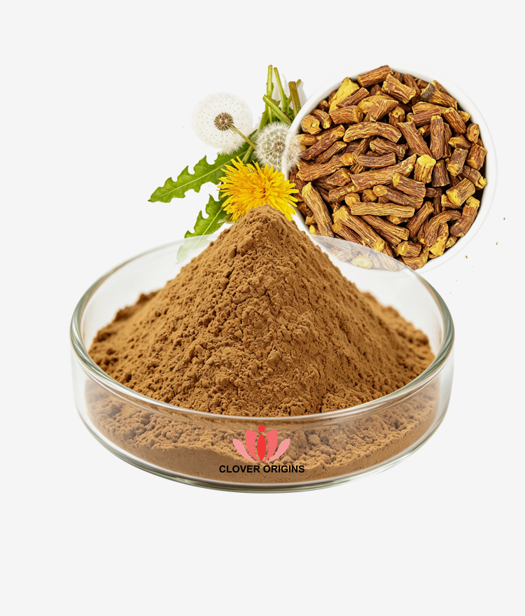 Dandelion Root Extract Powder
