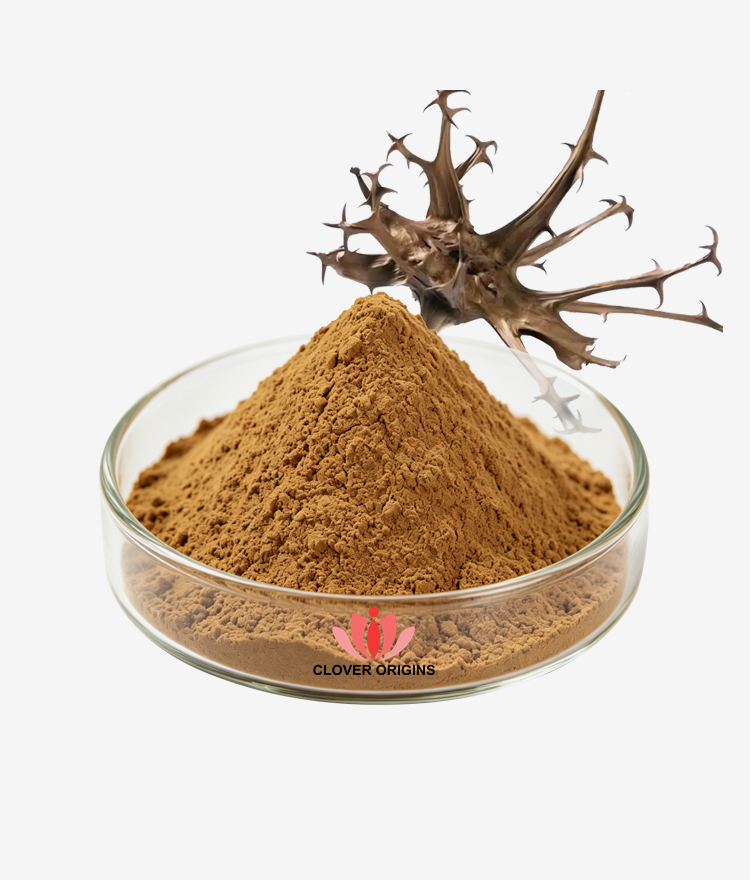 Devil’s Claw Extract Powder