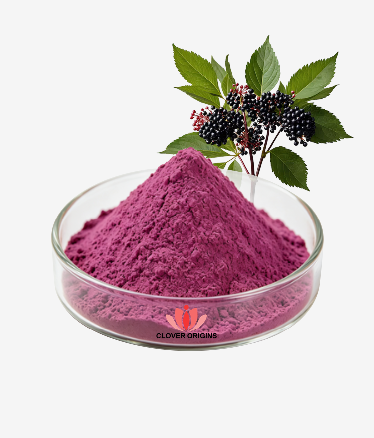 Elderberry Powder