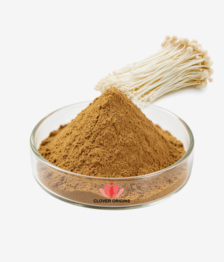 Enoki Extract