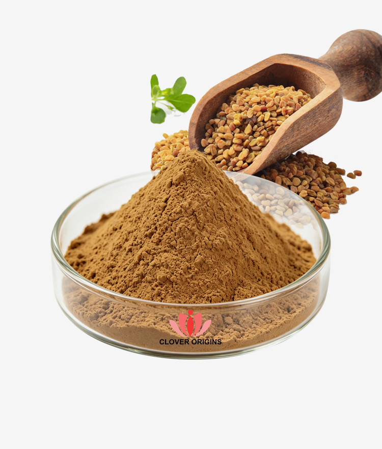 Fenugreek Seed Extract Powder