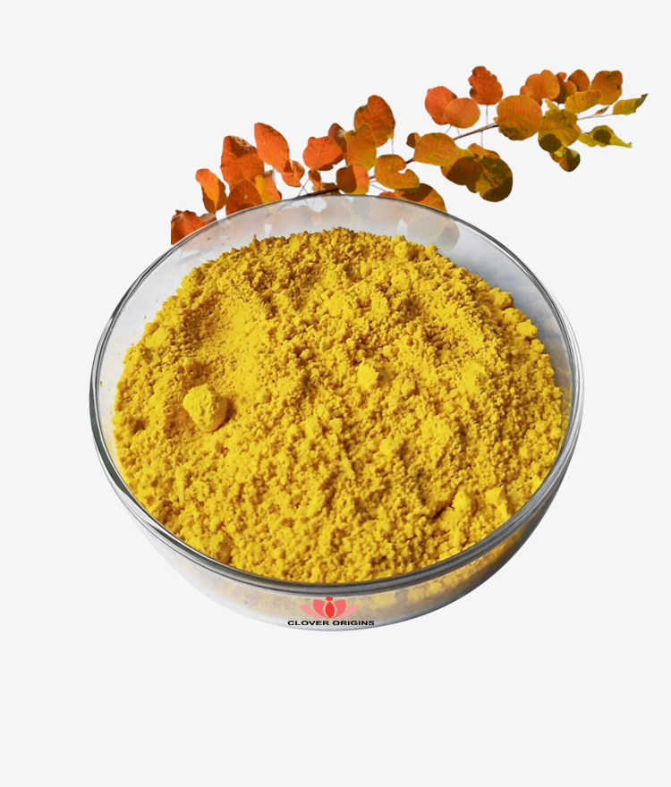 Fisetin Powder
