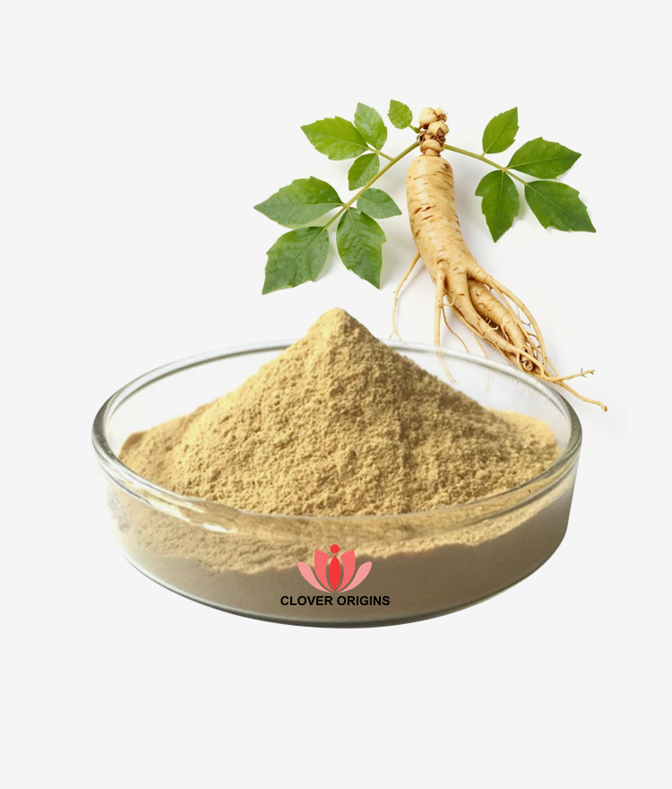 Ginseng Extract Powder