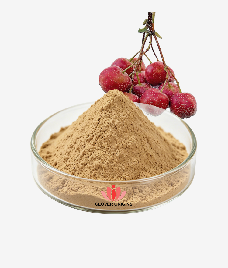 Hawthorn Extract Powder