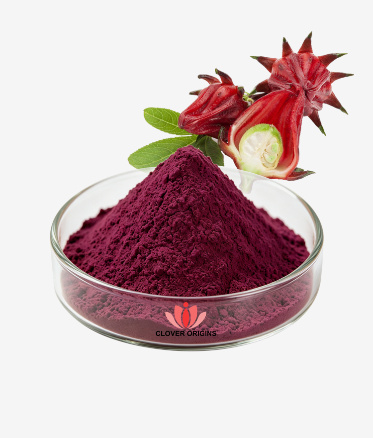 Hibiscus Extract Powder
