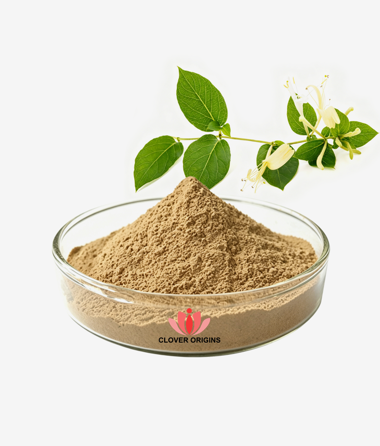 Honeysuckle Extract Powder