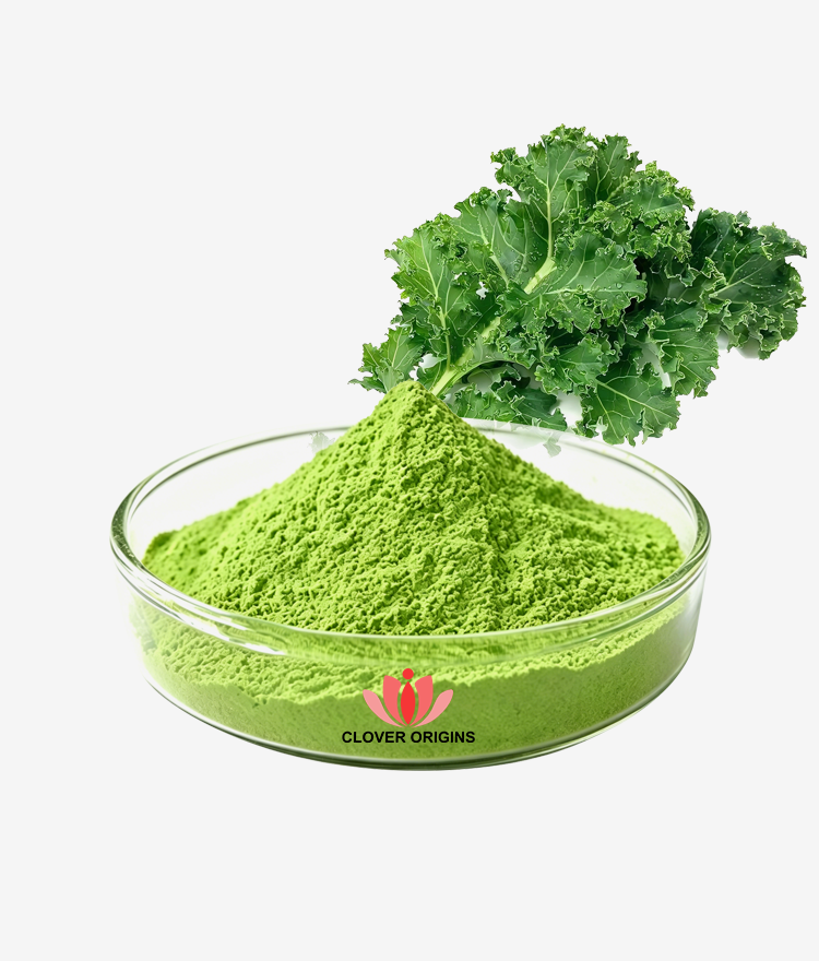 Kale Powder