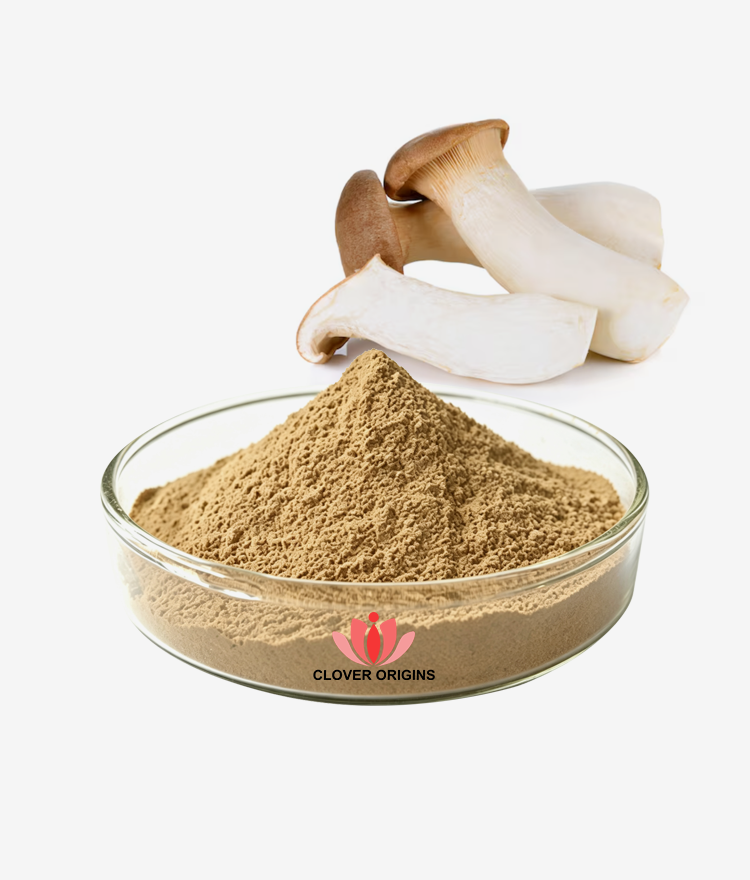 King Oyster Extract