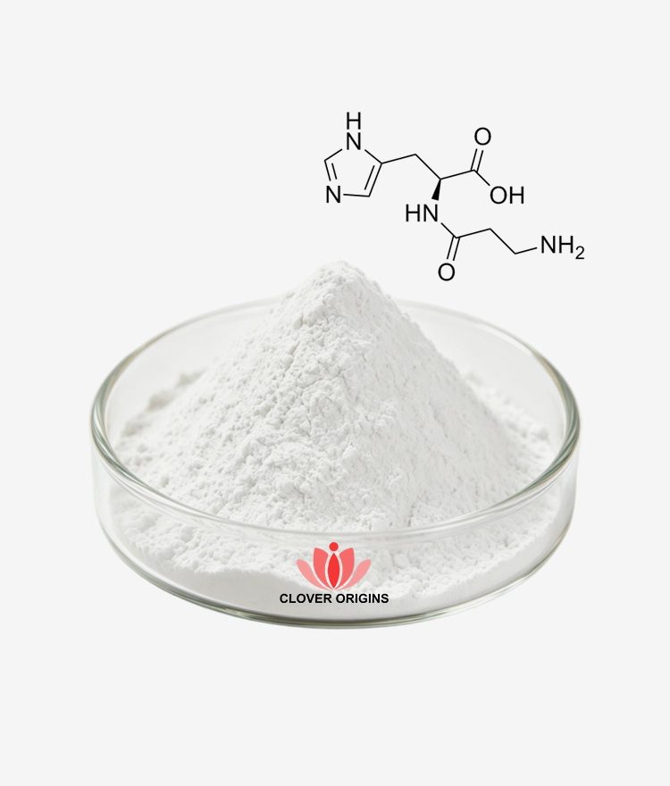L-Carnosine Powder
