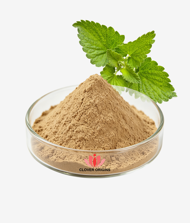 Lemon Balm Extract Powder