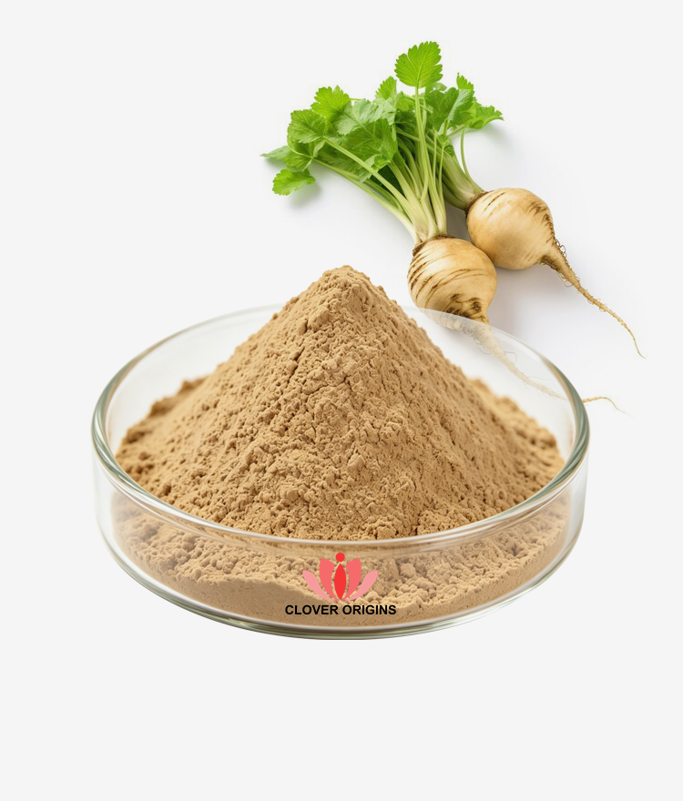 Maca Root Extract Powder