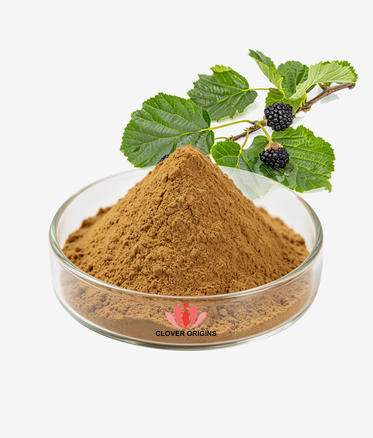 Mulberry Leaf Extract Powder