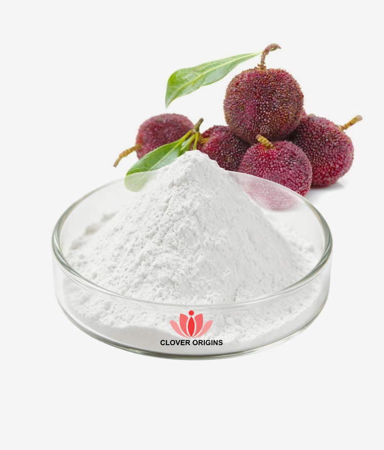 Myricitrin Powder
