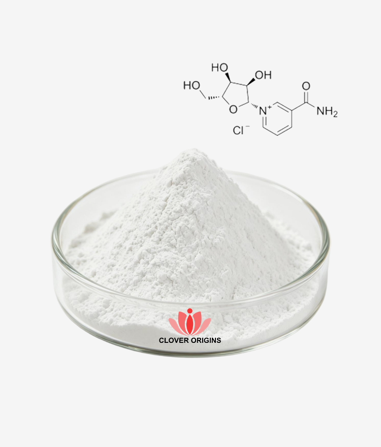Nicotinamide Riboside Chloride Powder