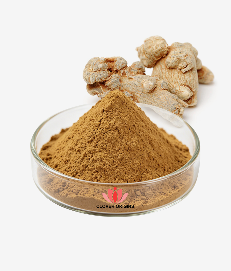 Notoginseng Root Extract Powder