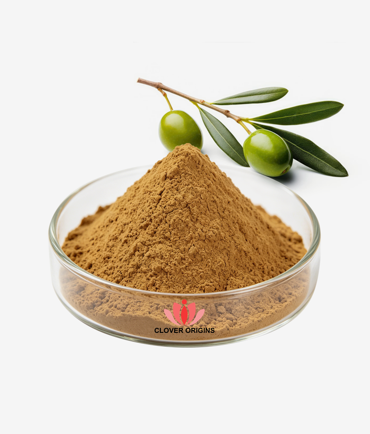 Olive Leaf Extract Powder