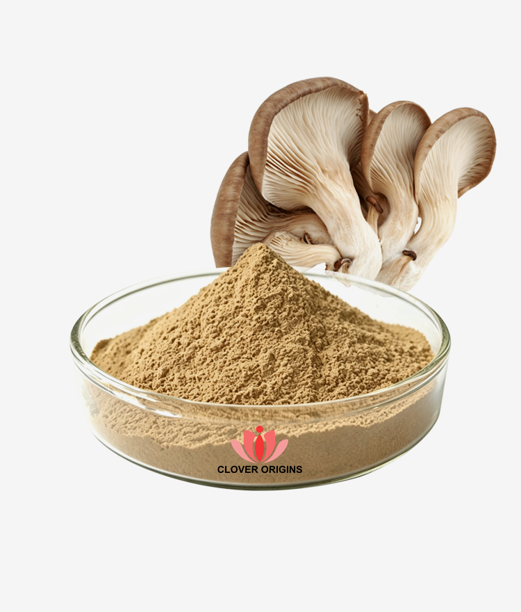 Oyster Mushroom Extract