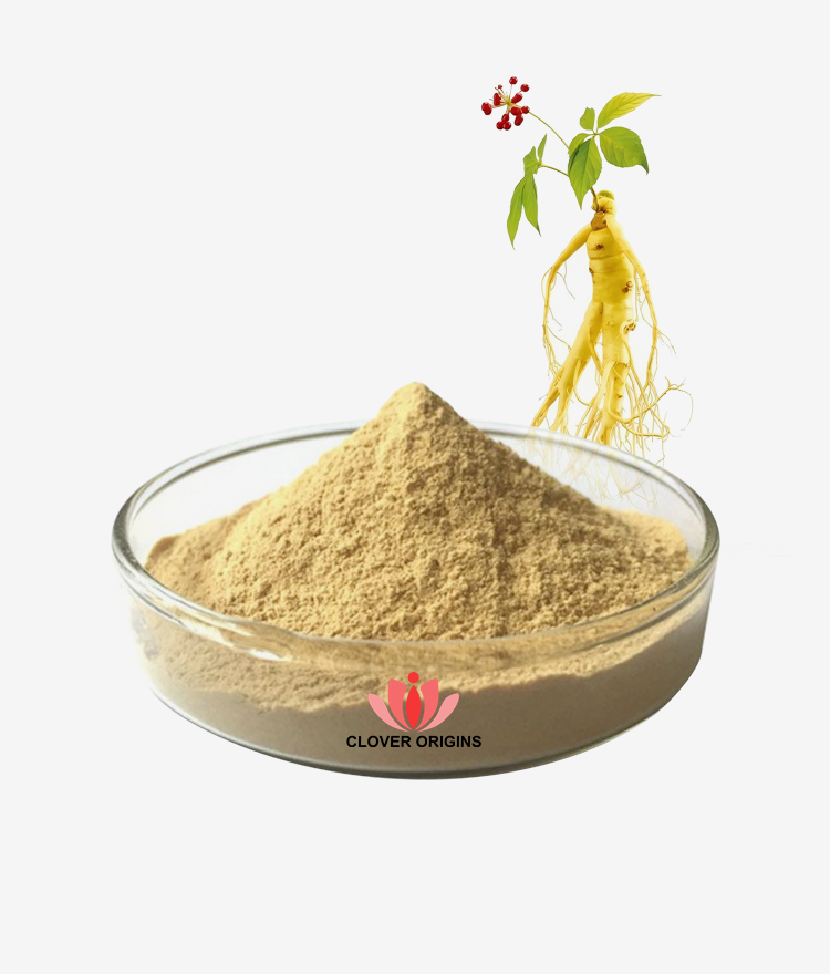 Panax Ginseng Extract Powder