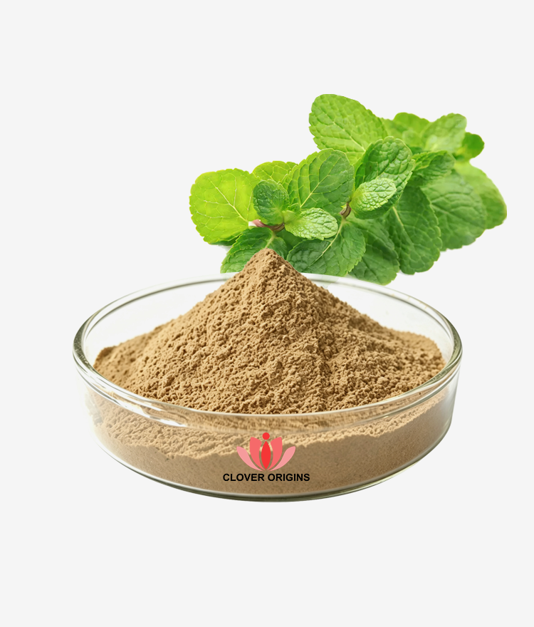 Peppermint Extract Powder