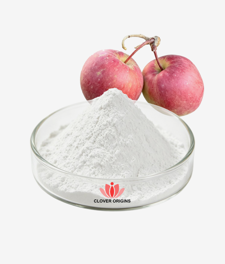 Phlorizin Powder