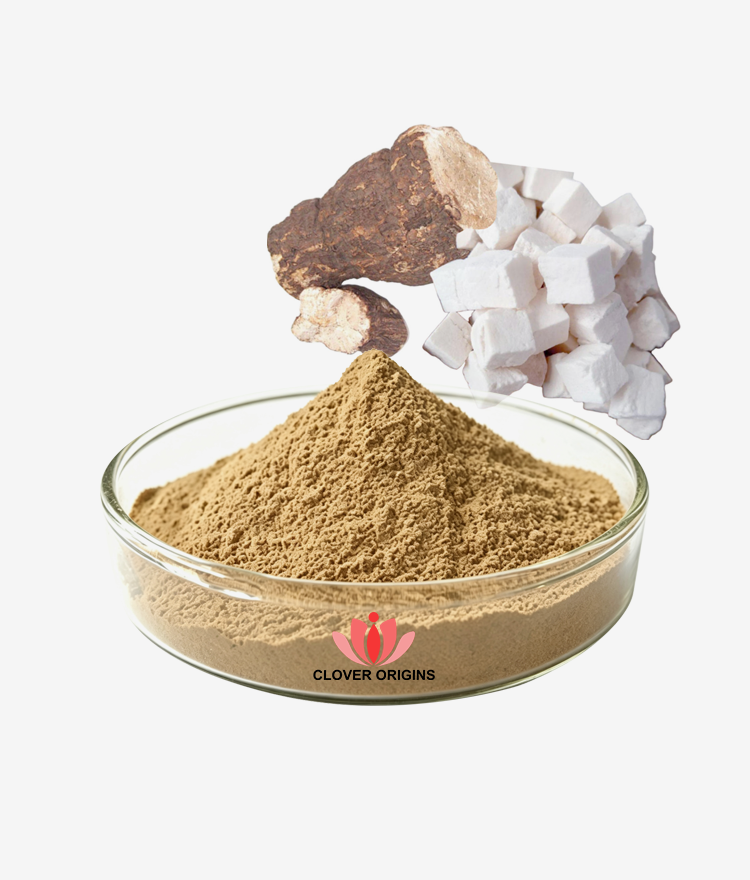 Poria Cocos Extract