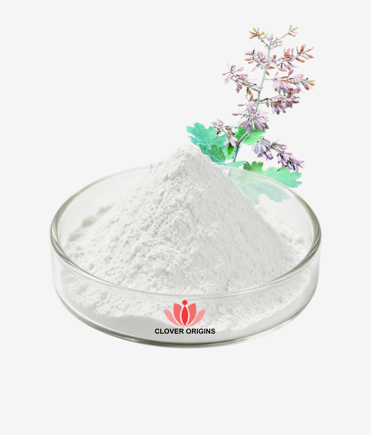 Protopine Powder