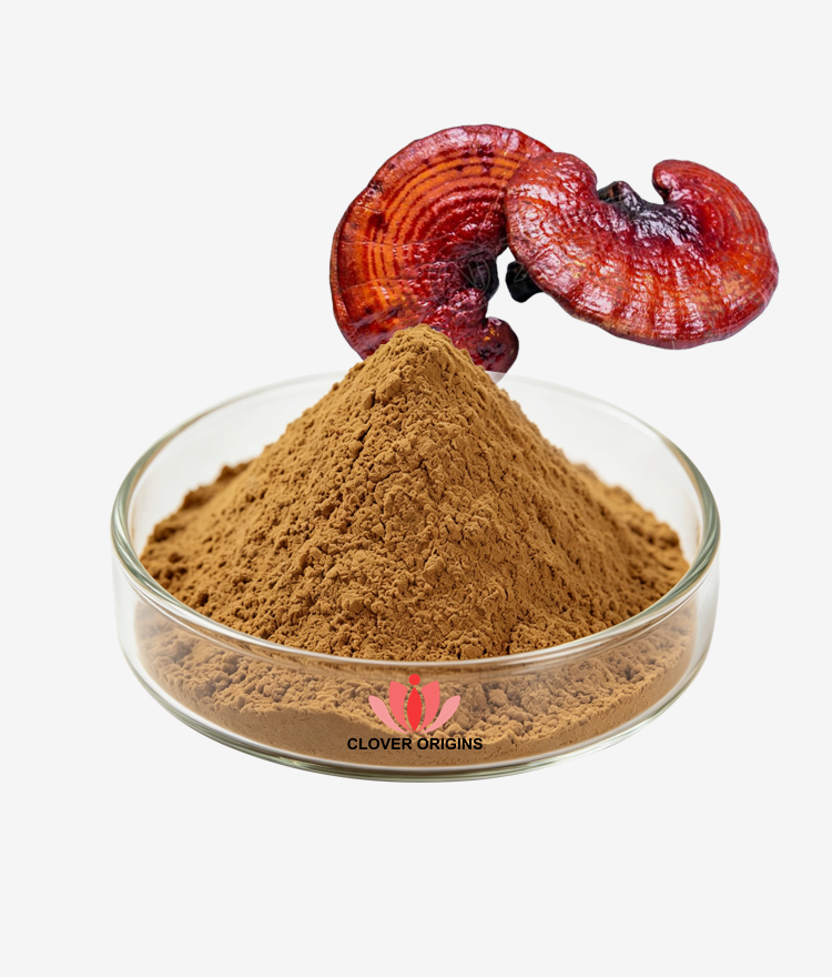 Reishi Polysaccharides Extract