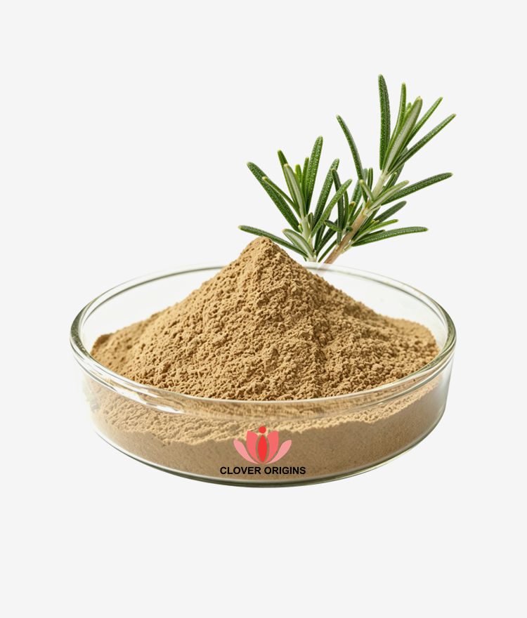 Rosmarinic acid Powder
