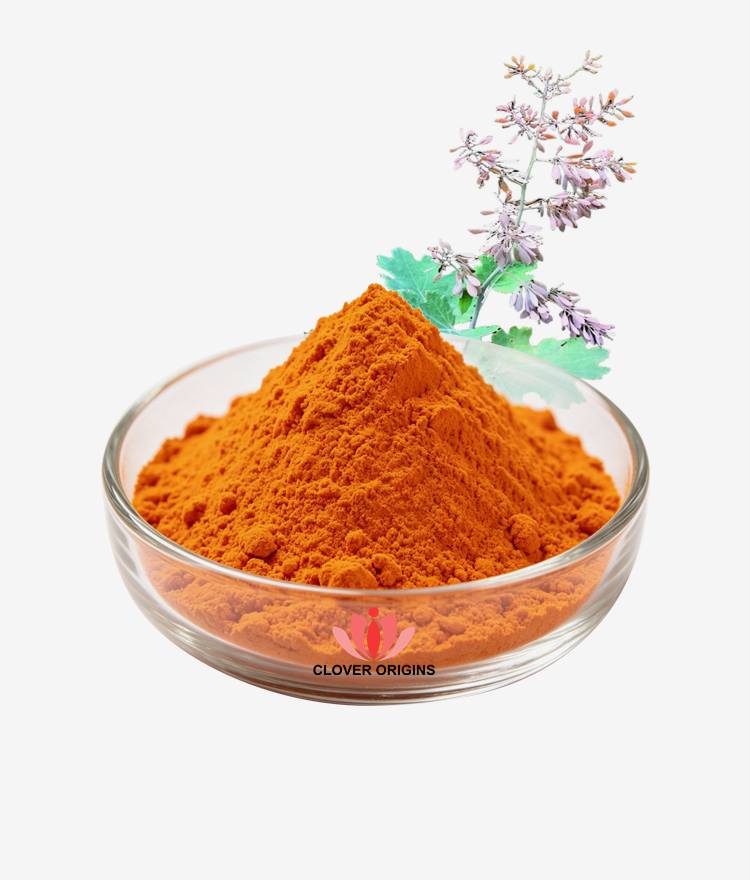 Sanguinarine Powder