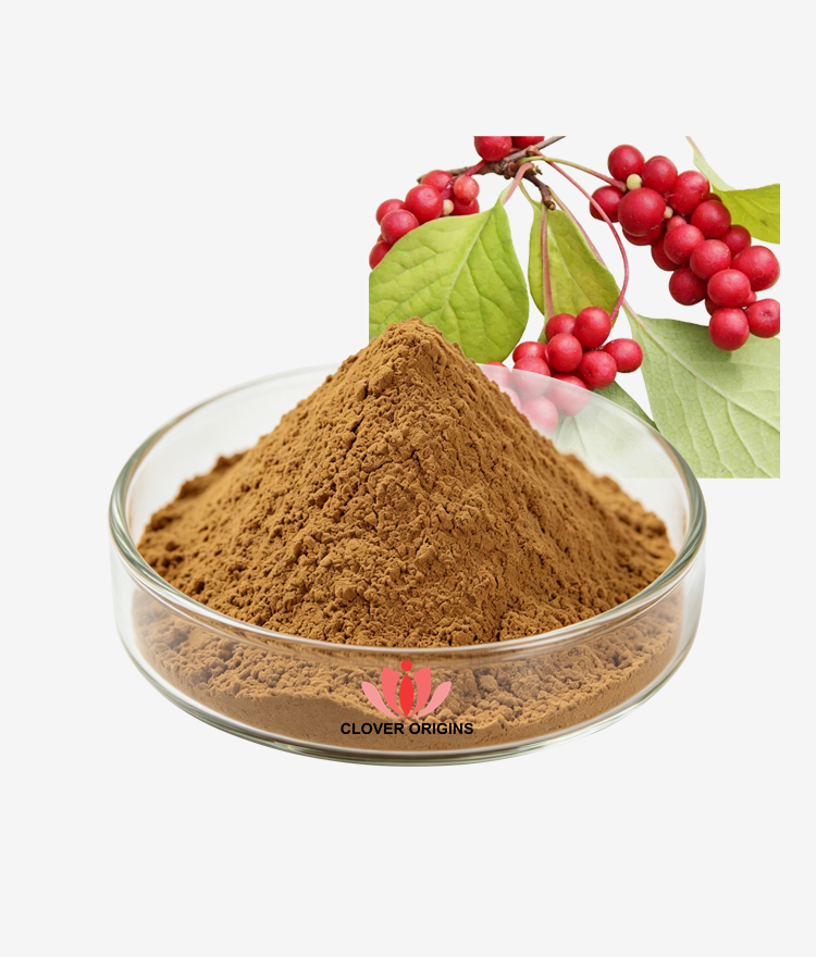 Schisandra Extract Powder