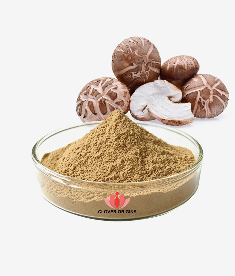 Shiitake Extract