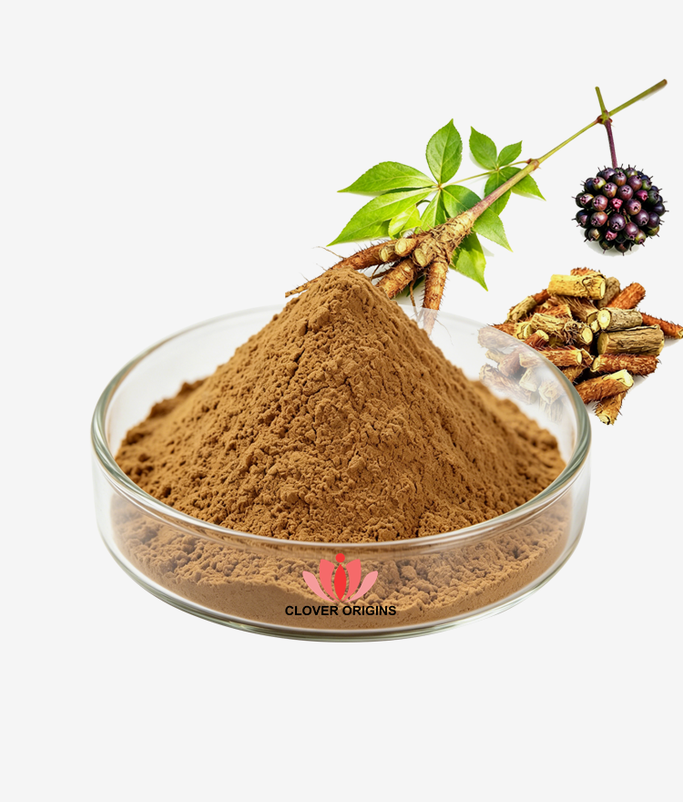 Siberian Ginseng Extract Powder