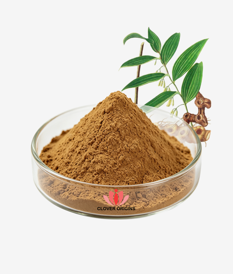 Solomonseal Rhizome Extract Powder