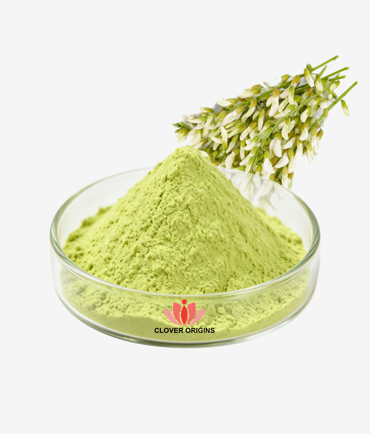Sophora Japonica Extract Powder