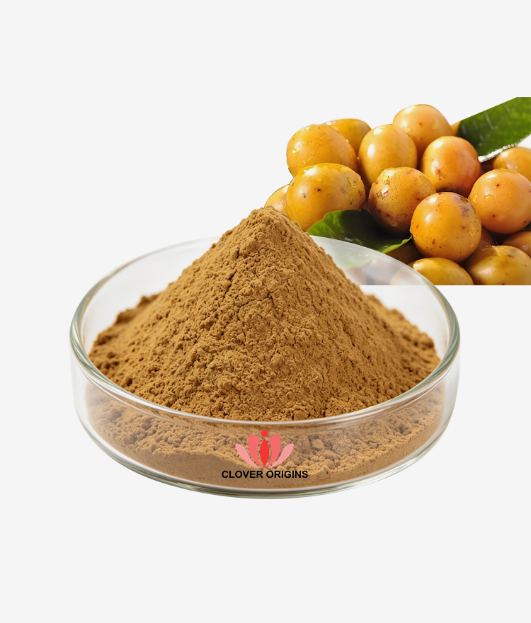 Sour Jujube Seed Extract Powder