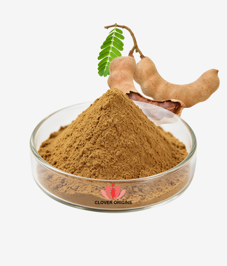 Tamarind Extract Powder