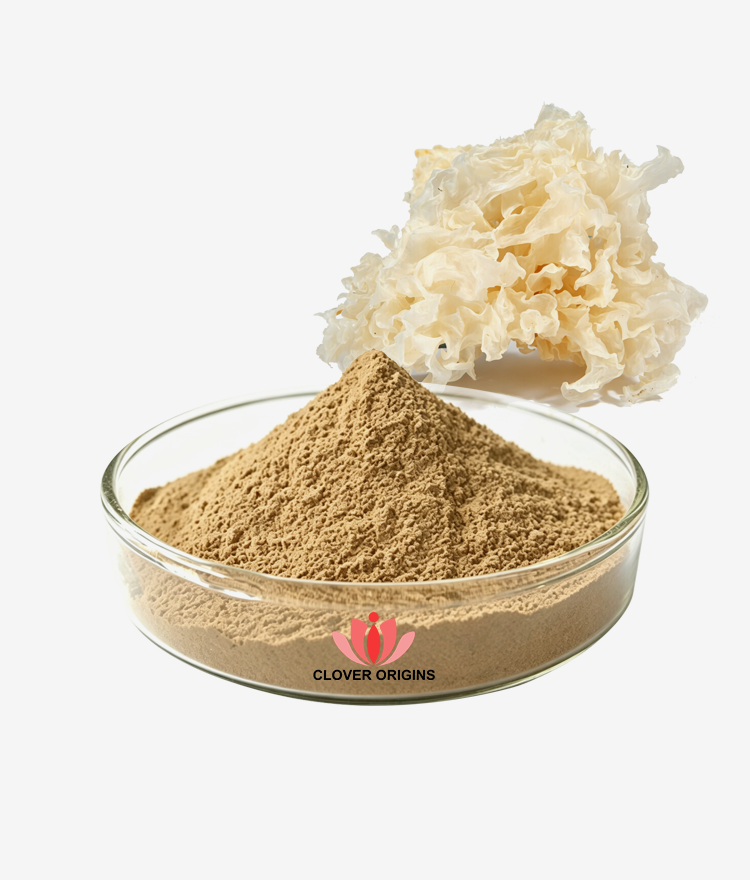 Tremella Extract