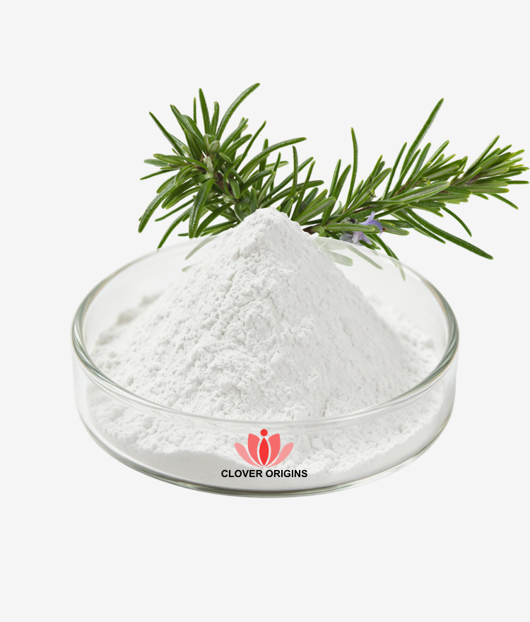 Ursolic acid 98% Powder