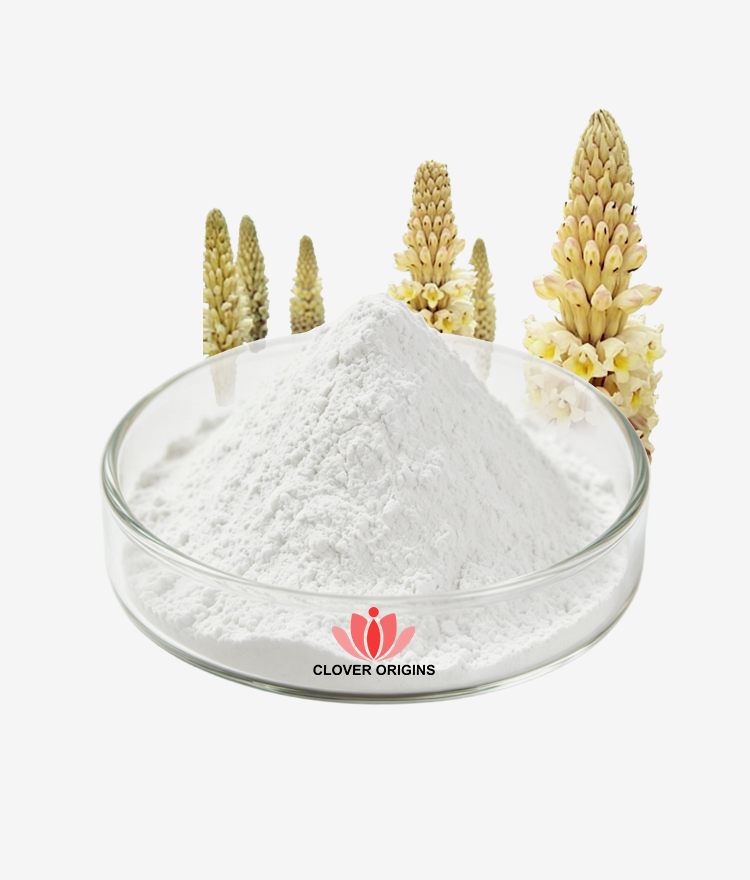 Verbascoside Powder