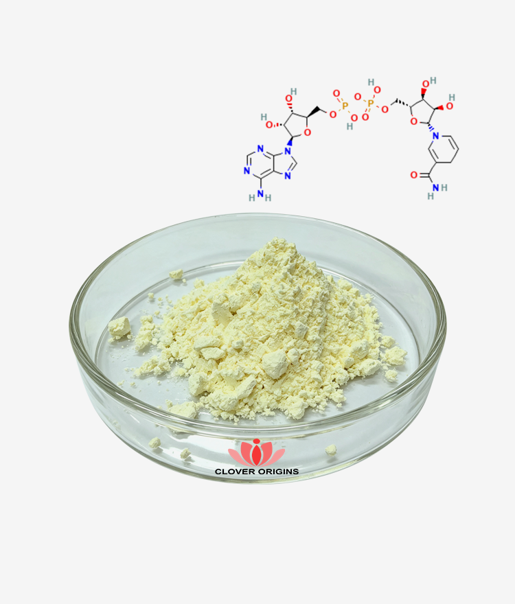 β-NADH